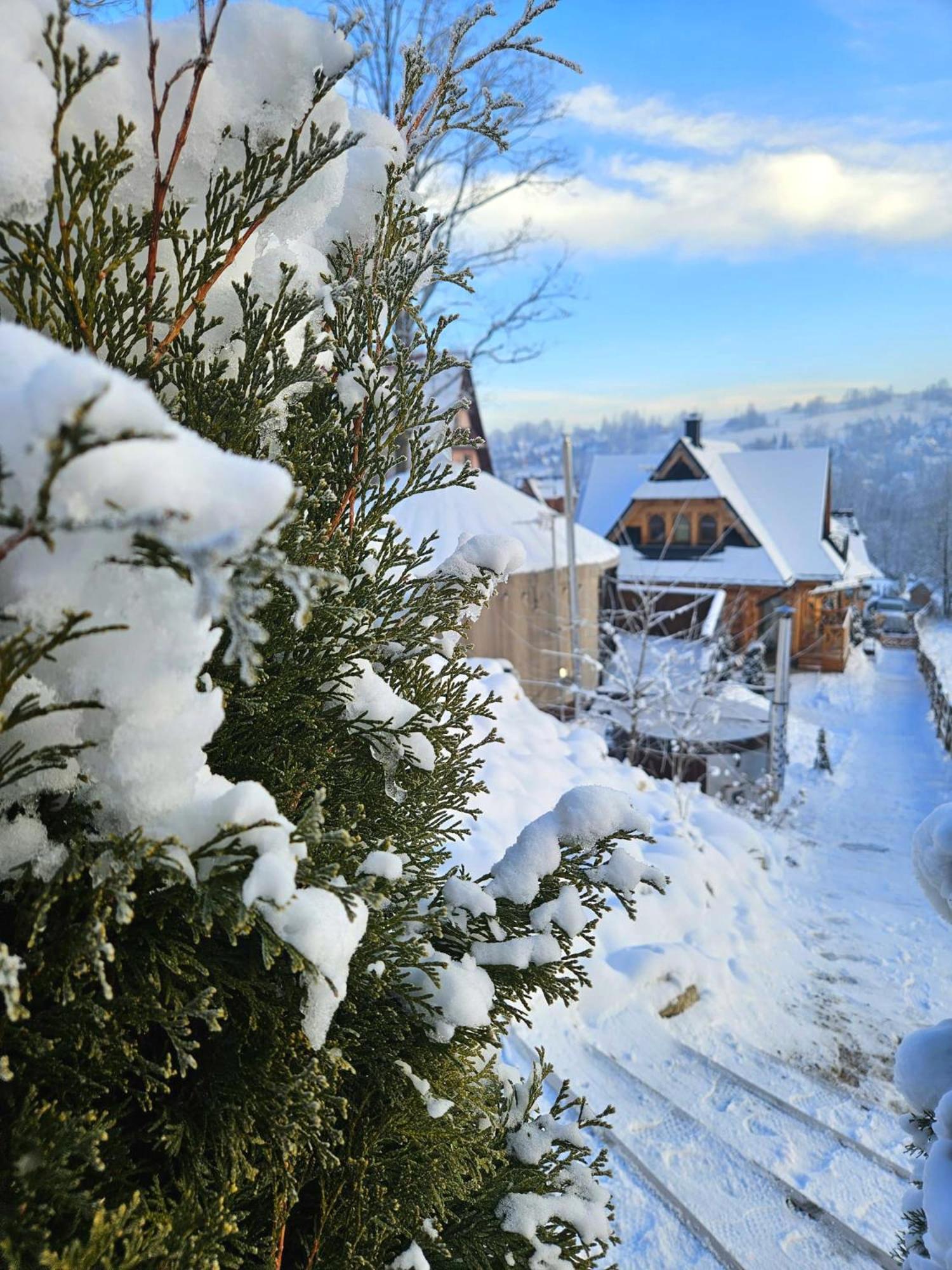 Goralska Chatka 2 Highland Cottage - Split Ac, Jacuzzi, Sauna, Private Parking, Mountains View, Garden, Zakopane Luaran gambar